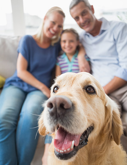 Vacanze con il cane in Toscana