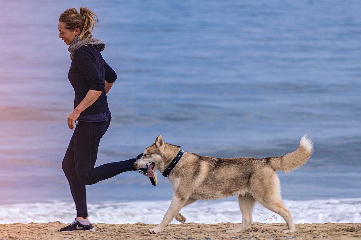 Sport per cani: ecco quali attività fare insieme