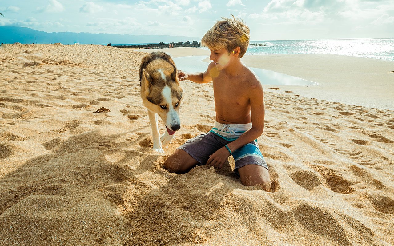 Gli affitti brevi e le vacanze con animali domestici