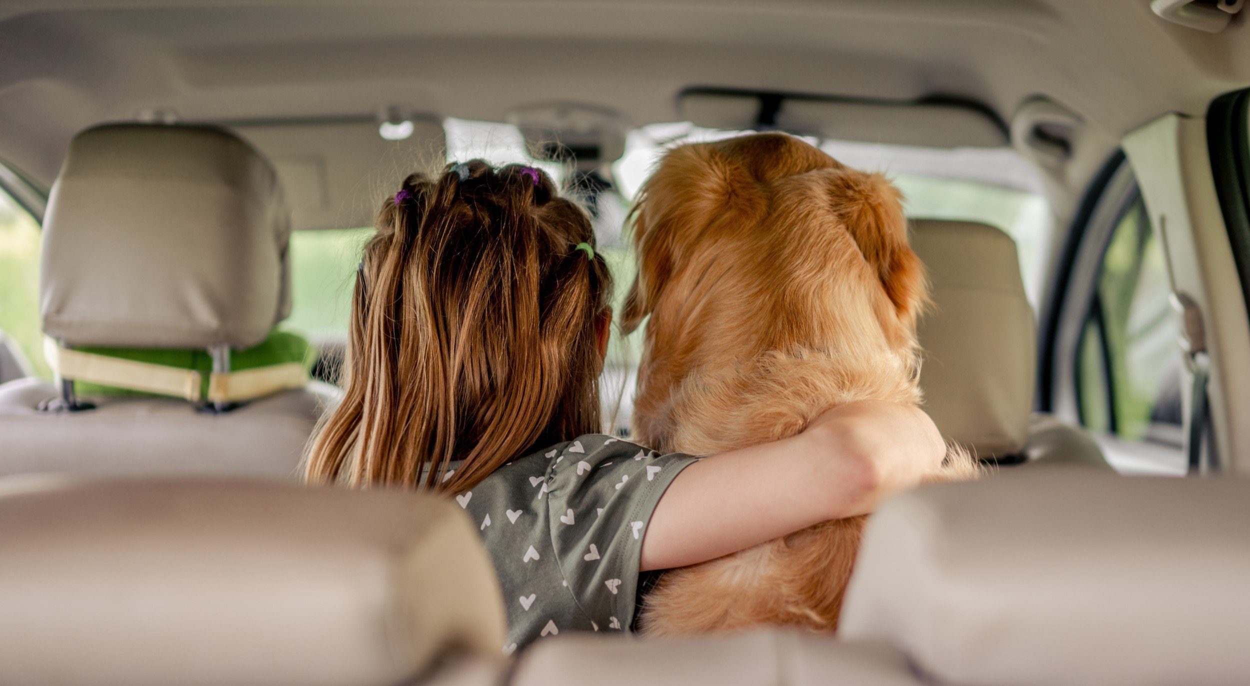 Dove andare in Lombardia con il cane in primavera