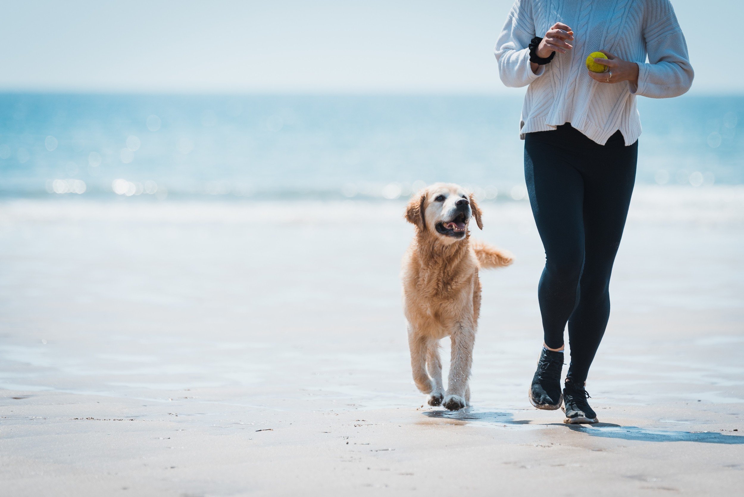 Dove andare con il cane in Liguria