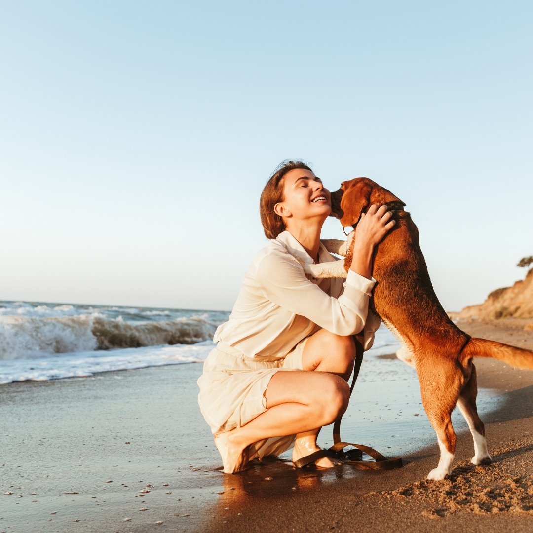 Cosa fare con il cane a Capoliveri a Settembre