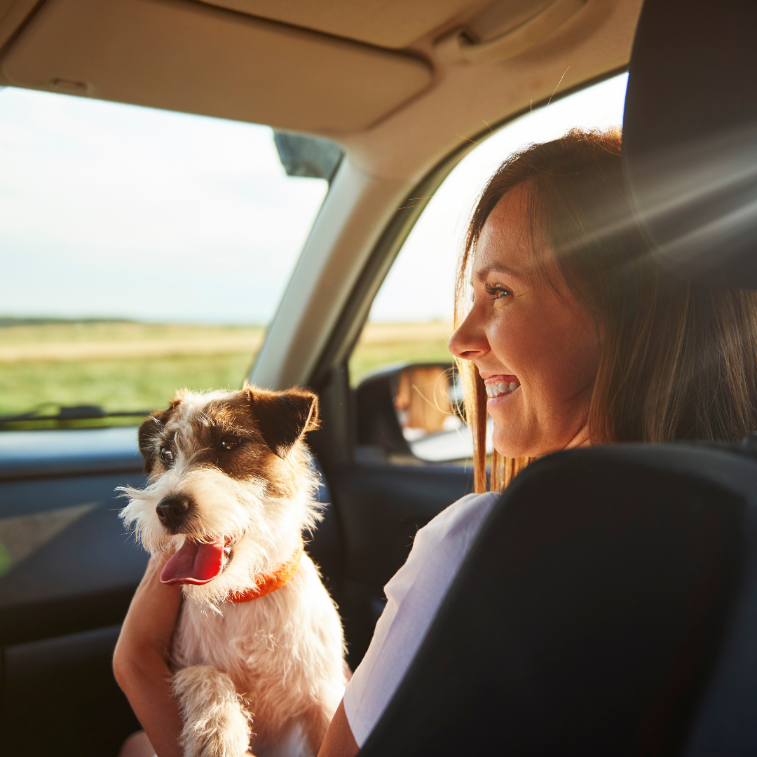 Cosa fare con il cane in Liguria a settembre