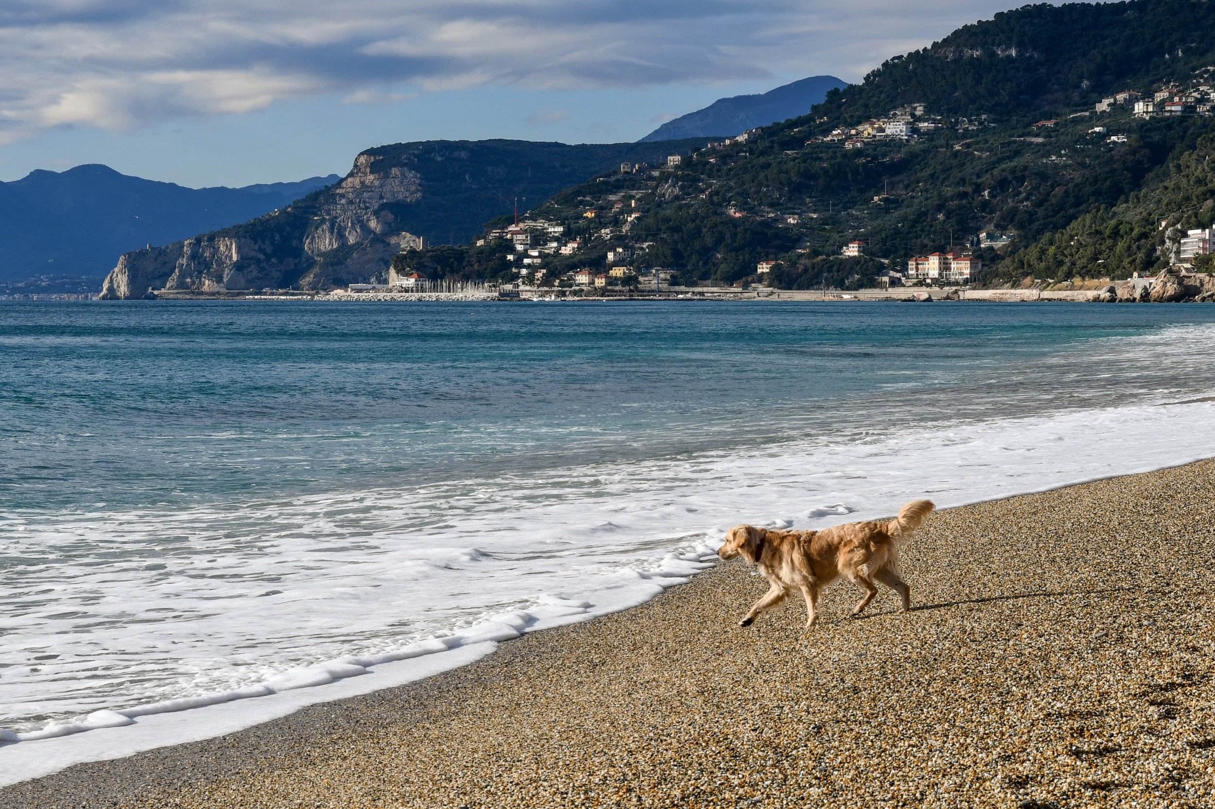 Weekend in Liguria con il cane