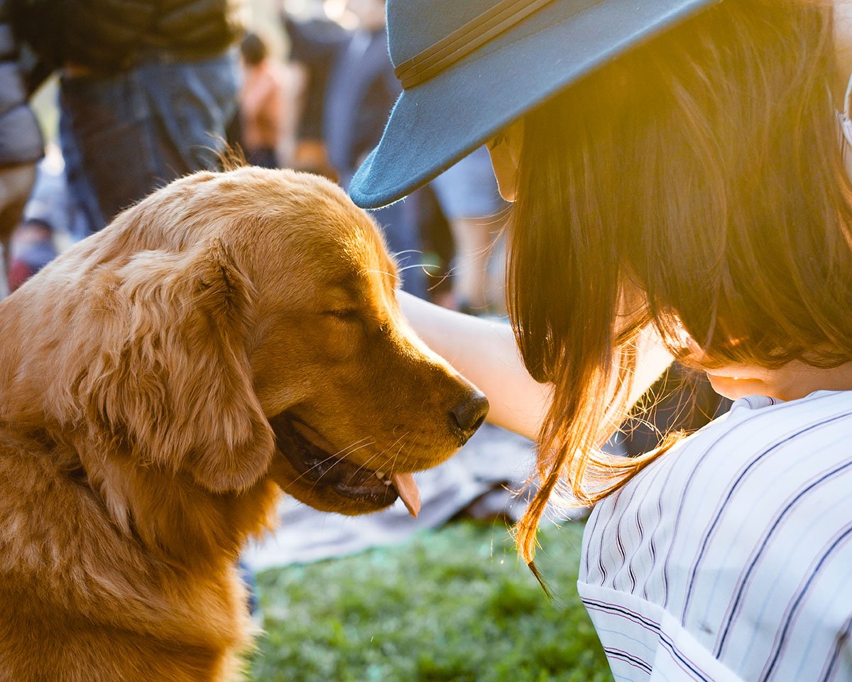 Obedience: come  migliorare l’armonia col proprio cane