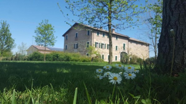 Il Brugnolo - Angelica