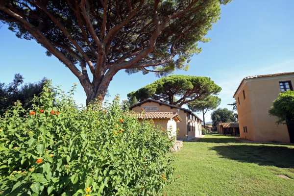 Agriturismo il Vignone (Appartamento da 5 Ospiti A3)