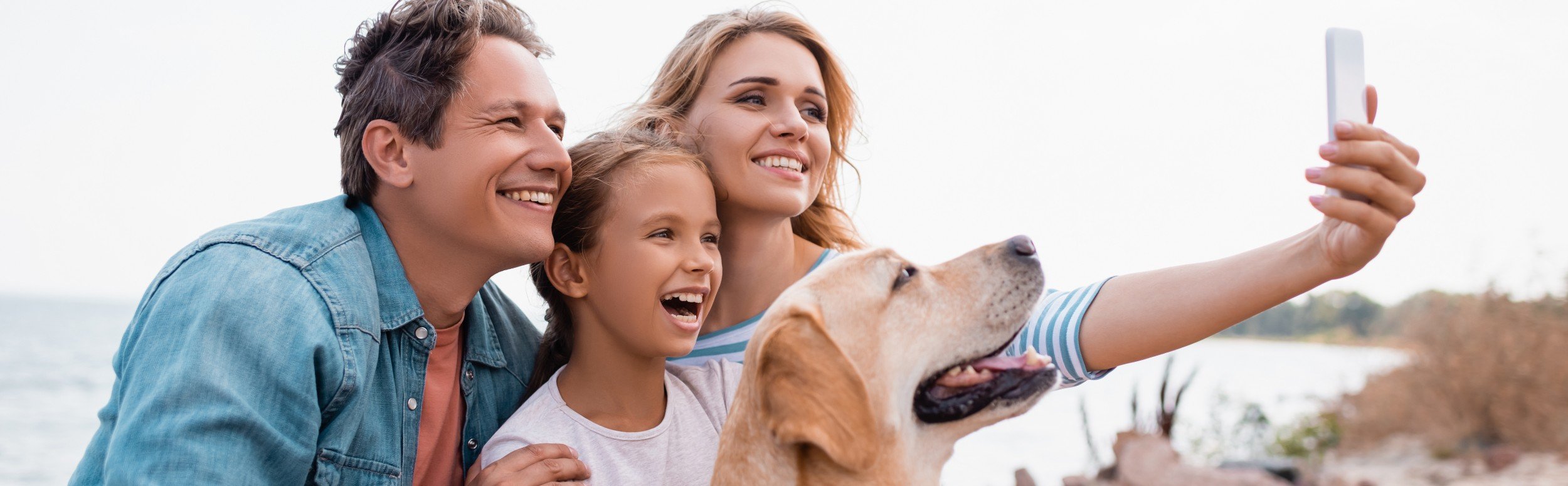 Come scegliere una struttura a prova di cane